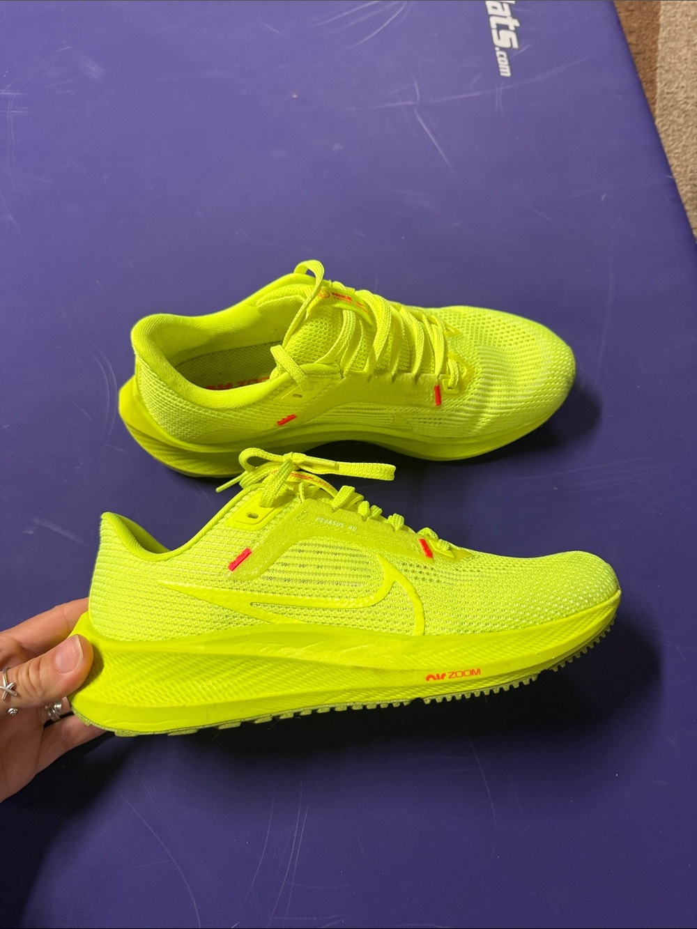 Nike Pegasus 40 Running Shoes